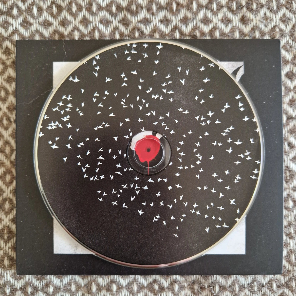 We Lost The Sea - A Single Flower / CD Album