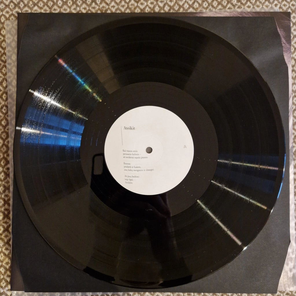 Tarasovas, Landsbergis ‎– Post Fluxiniai Žaidimai (Tarasovas Plauki / Vinyl LP