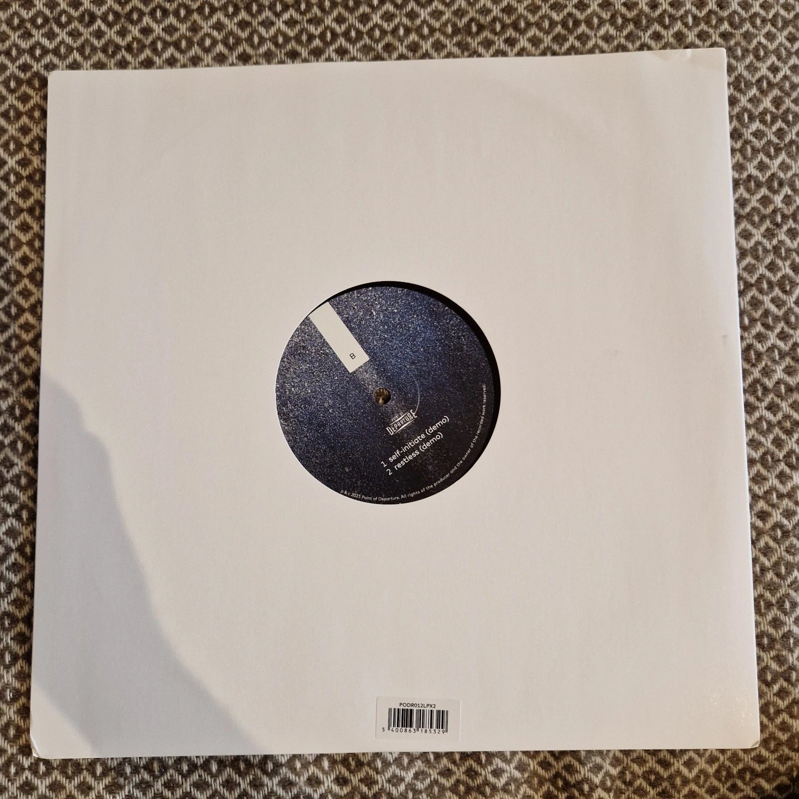 Sandwell District - End Beginnings Demos / Vinyl 12"