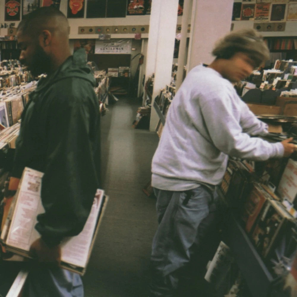 DJ Shadow Endtroducing..... / Vinyl 2LP