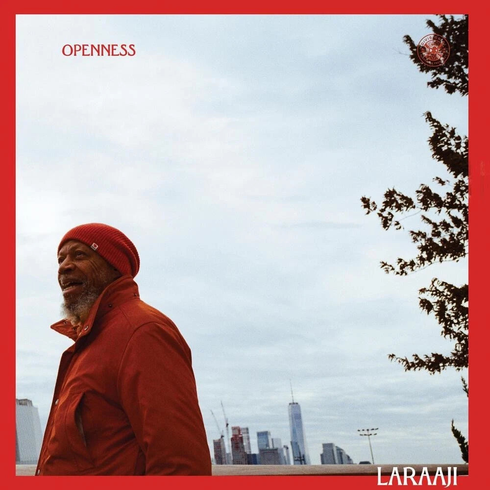 Laraaji Openess / Vinyl 2LP presale
