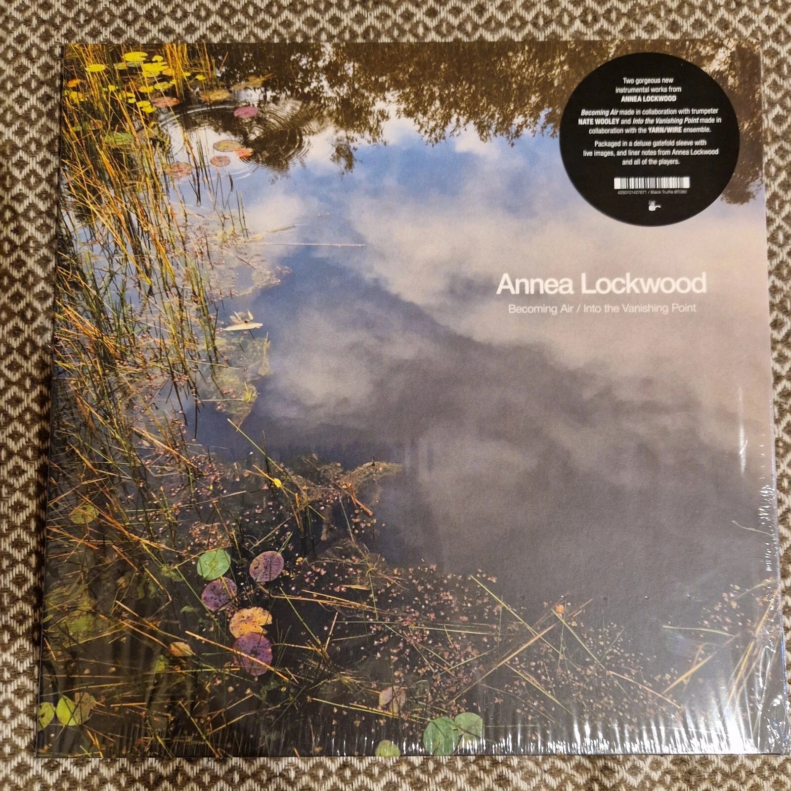 Annea Lockwood ‎– Becoming Air / Into The Vanishing Point / Vinyl LP