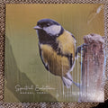 Rafael Toral – Spectral Evolution / Vinyl LP