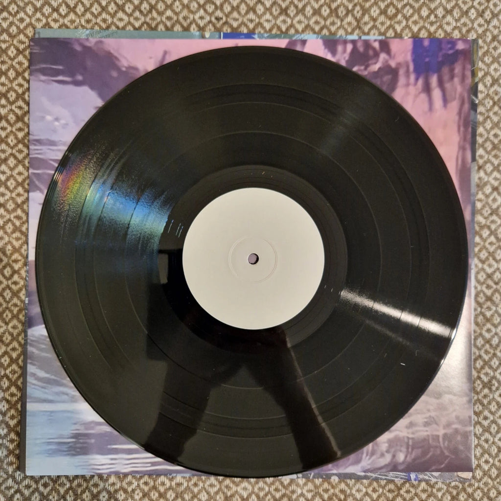 Moin ‎– Moot! / Vinyl LP