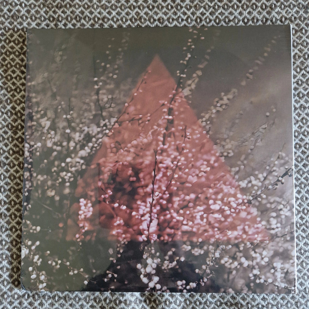 TERRE THAEMLITZ - Soil (30th Anniversary Edition) / Vinyl 3LP