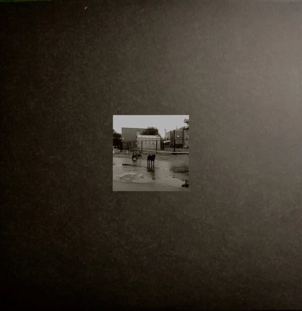 Nivhek ‎– After Its Own Death / Walking In A Spiral Towards The House / Vinyl 2xLP