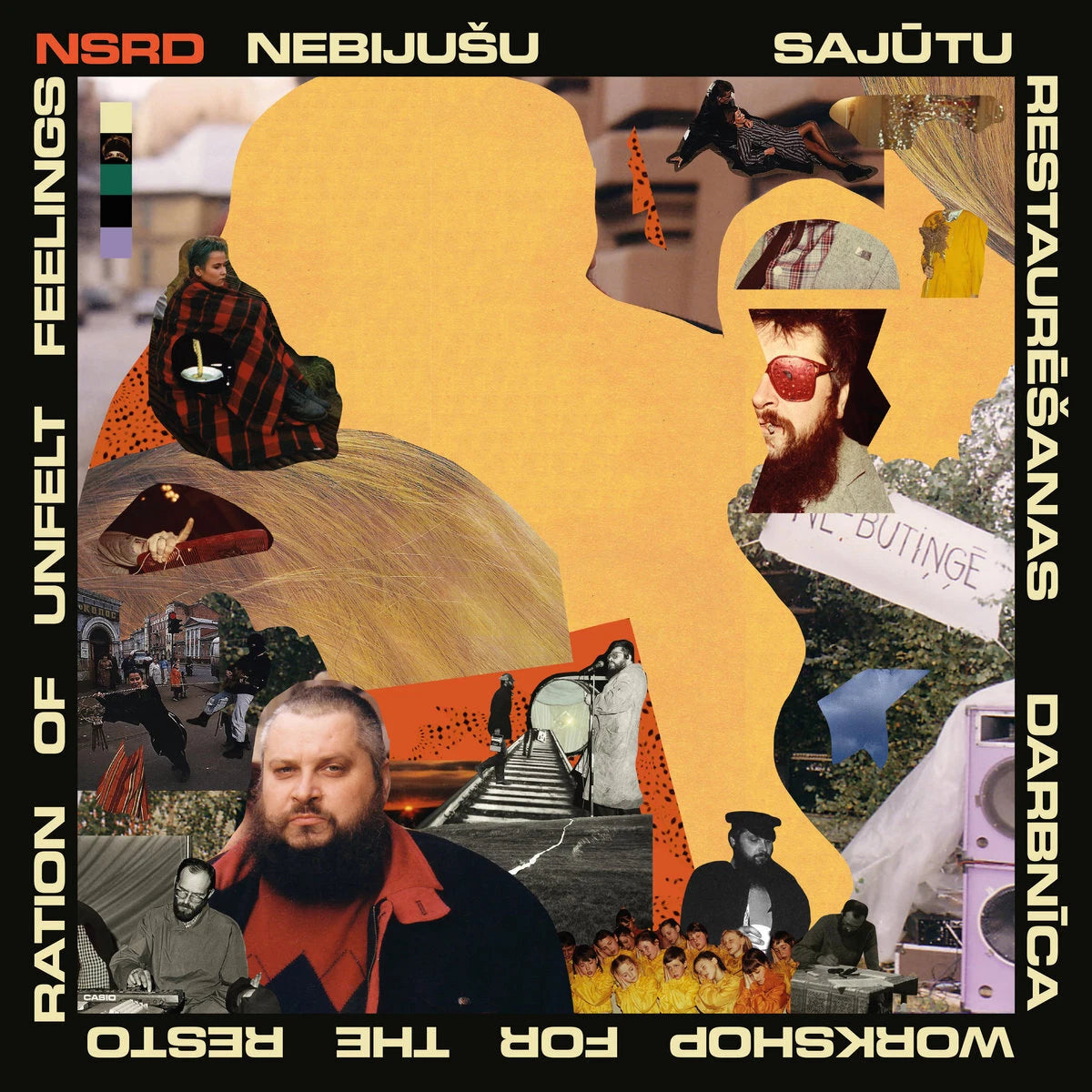 NSRD - The Workshop For The Restoration Of Unfelt Feelings / Vinyl LP