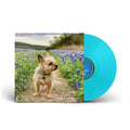Shit And Shine - 0 aa RIOT / Vinyl LP on Colored