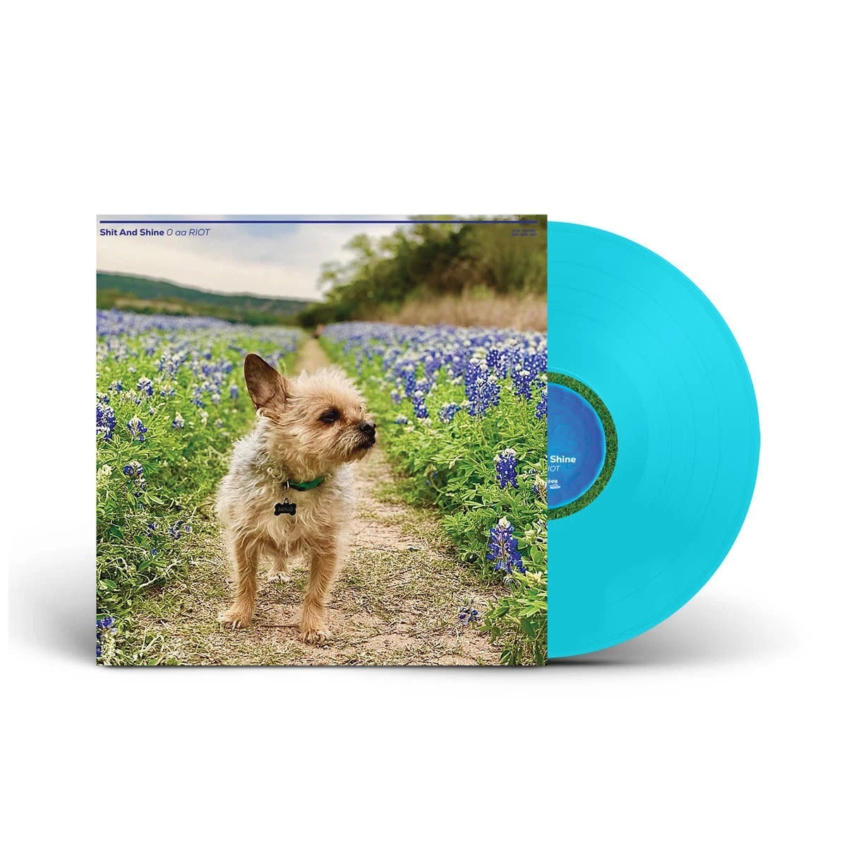 Shit And Shine - 0 aa RIOT / Vinyl LP on Colored