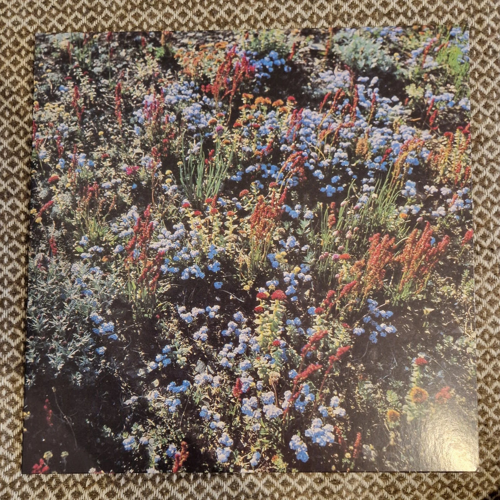 Motorama - Before The Road / Vinyl LP limited SIGNED / AUTOGRAPHED