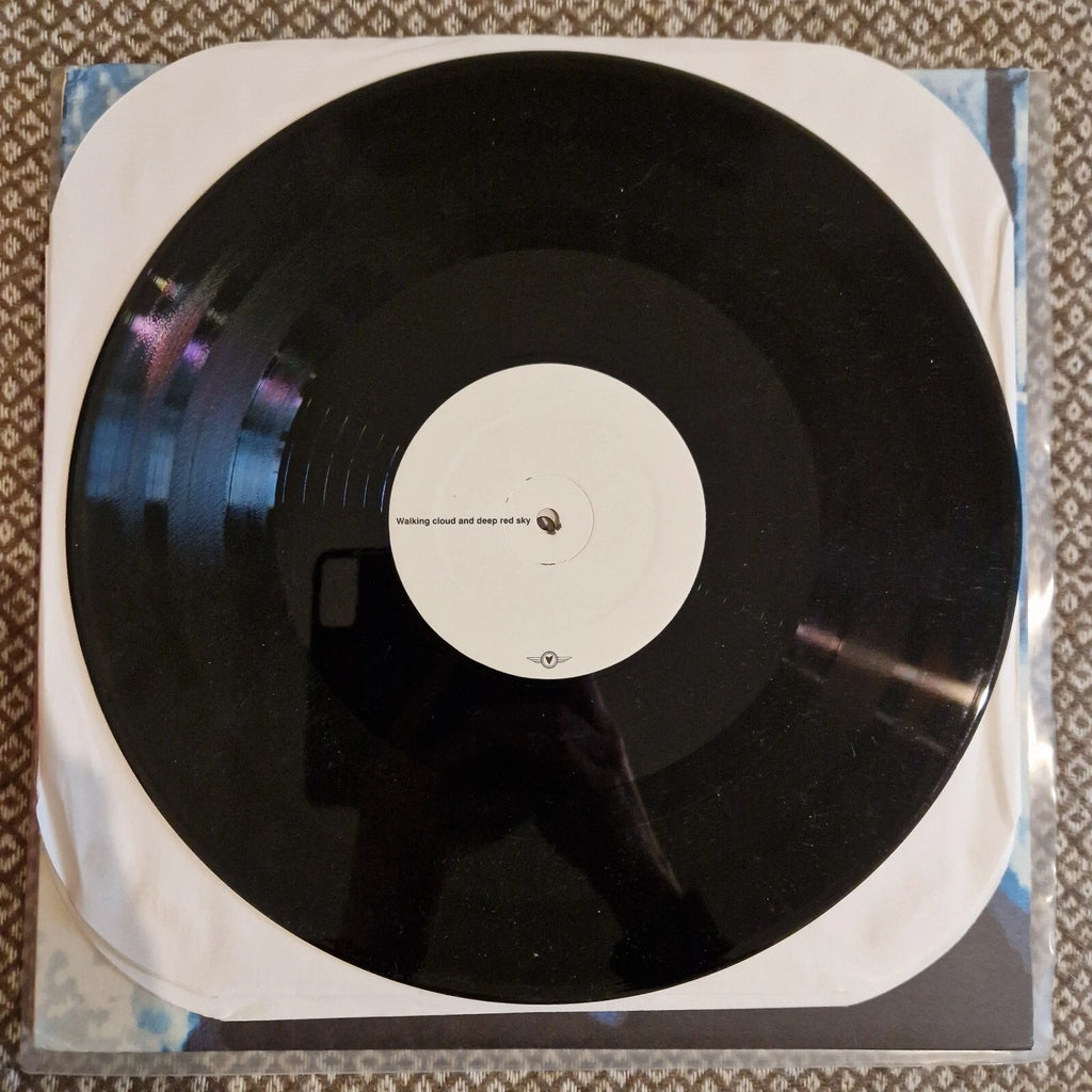 MONO - Walking Cloud And Deep Red Sky, Flag Fluttered And The Sun Shined / Vinyl 2LP (First pressing)