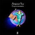 Legowelt - Ambient Trip Commander / Vinyl 2LP