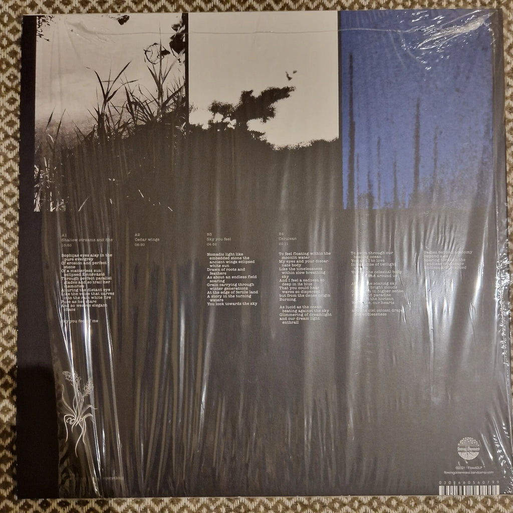 Sadness - Alluring The Distant Eye / Vinyl LP limited on Blue & Black Starbust