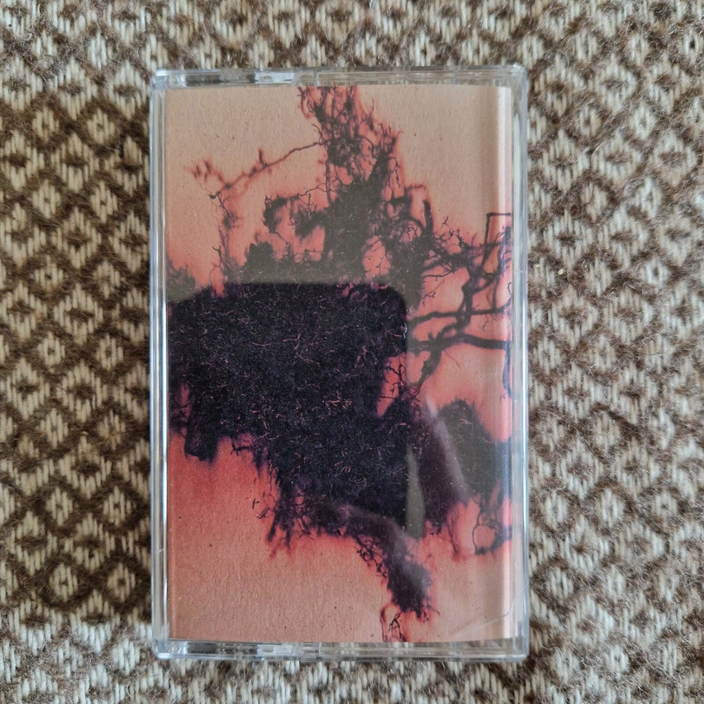 Maria W Horn & Vilhelm Bromander - Earthward Arcs / Cassette Album