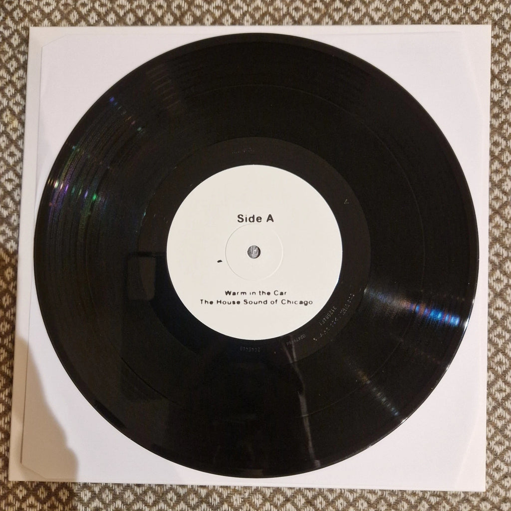 Still House Plants - Still House Plants / Vinyl 10"