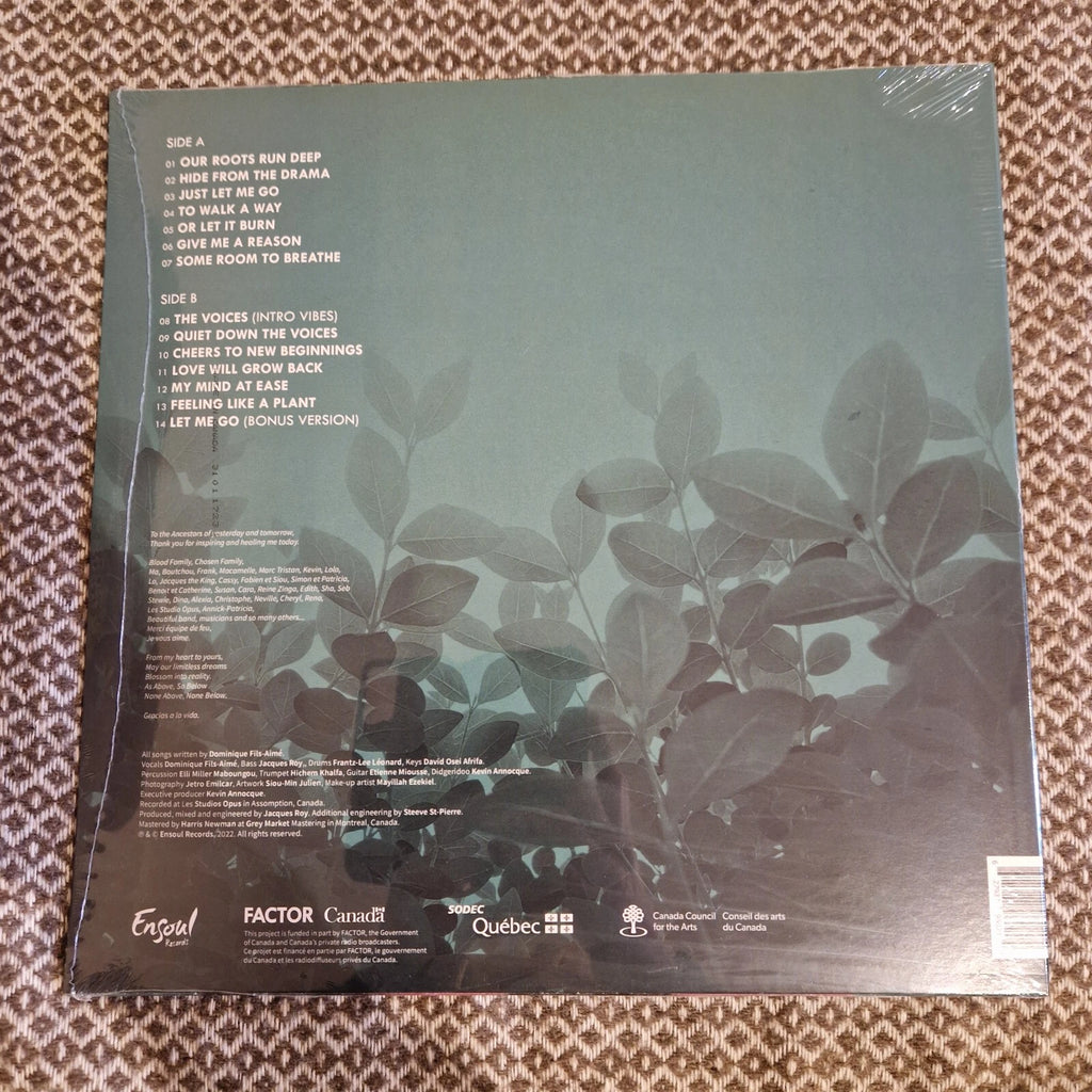 Dominique Fils-Aimé - Our Roots Run Deep / Vinyl LP