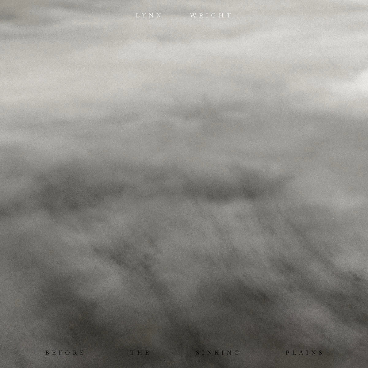 Lynn Wright - Before The Sinking Plains / Vinyl LP