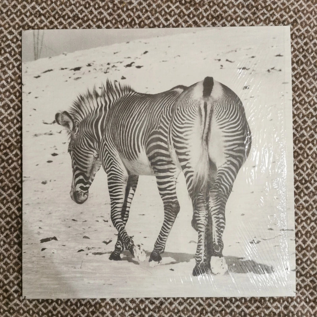 ANDY STOTT - It Should Be Us / Vinyl 2LP presale