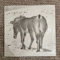 ANDY STOTT - It Should Be Us / Vinyl 2LP presale