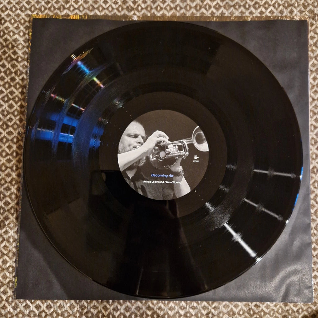Annea Lockwood ‎– Becoming Air / Into The Vanishing Point / Vinyl LP