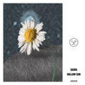 Sasha - Hollow Sun / Vinyl LP presale