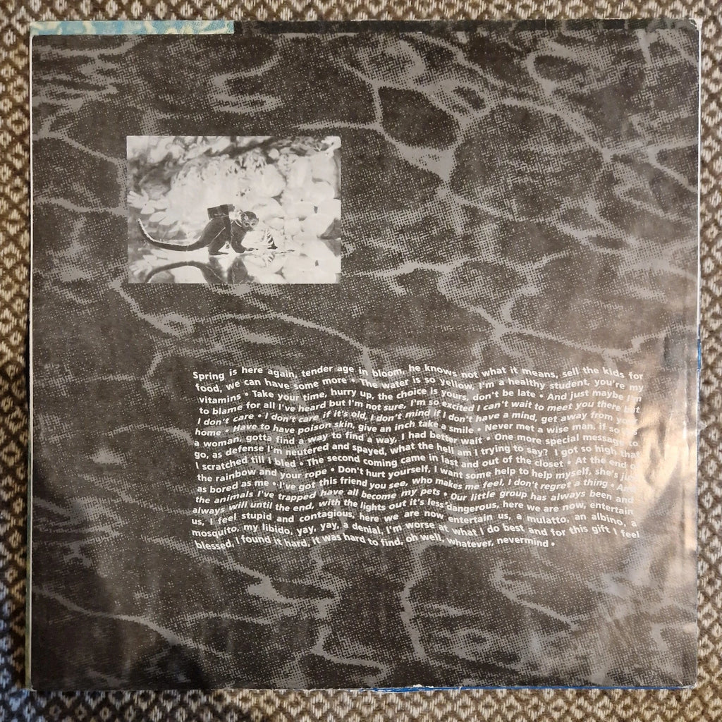 Nirvana ‎– Nevermind / Vinyl LP (2008 pressing)