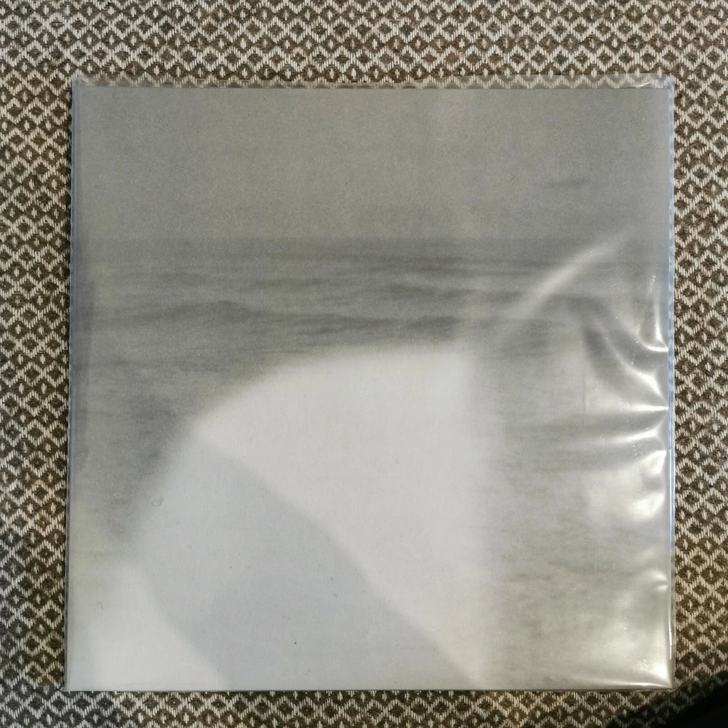 Raum – Daughter / Vinyl 2LP