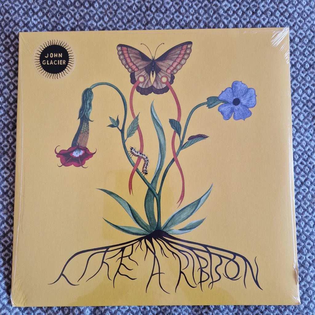 John Glacier - Like A Ribbon / Vinyl LP / SIGNED / AUTOGRAPHED PRINT