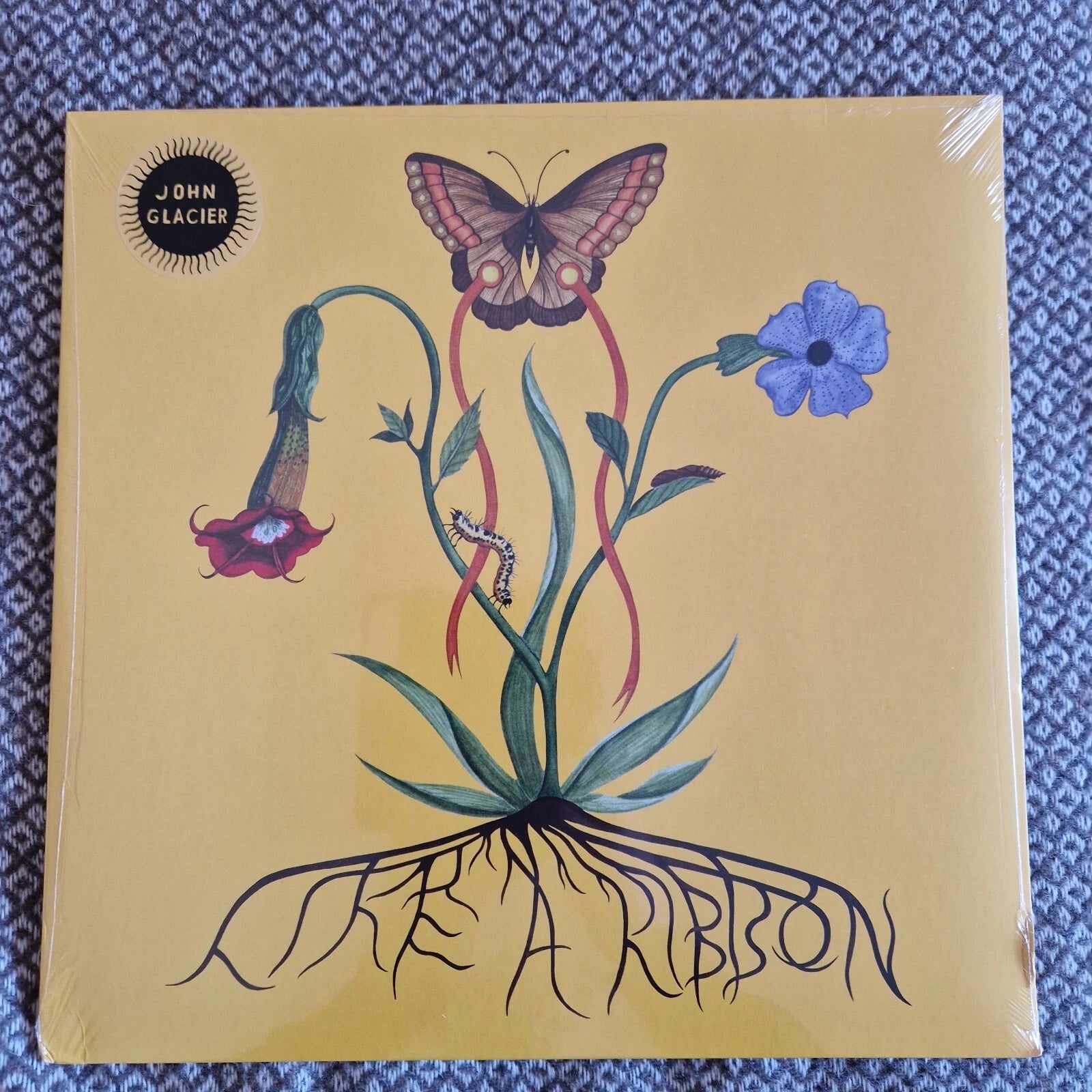 John Glacier - Like A Ribbon / Vinyl LP / SIGNED / AUTOGRAPHED PRINT