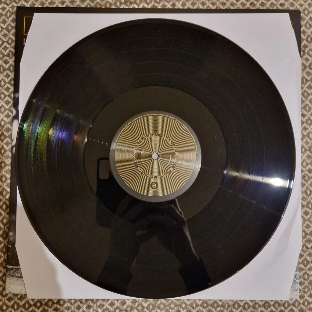 Domantas Razauskas, Saulius Petreikis Ir Styginių Kvartetas / Vinyl LP