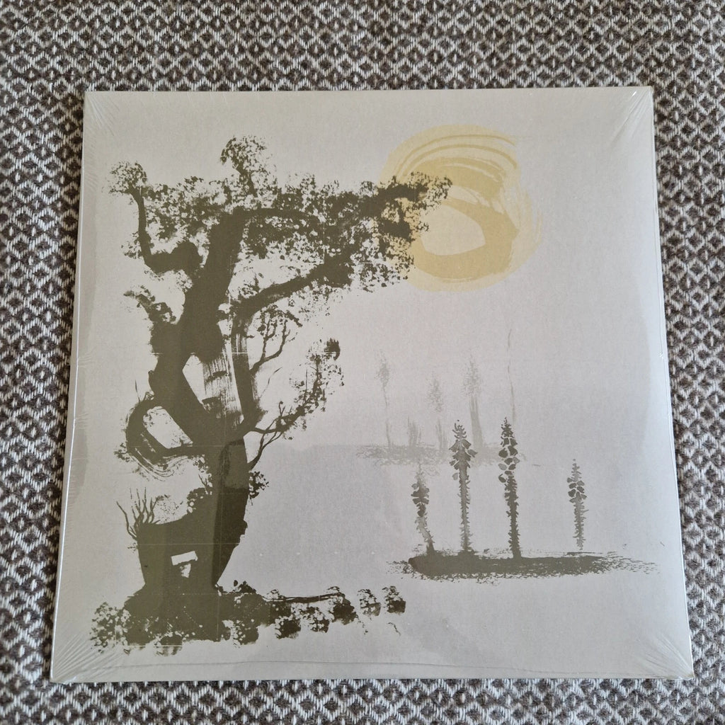 Shackleton ‎– The Scandal Of Time / Vinyl 2xLP