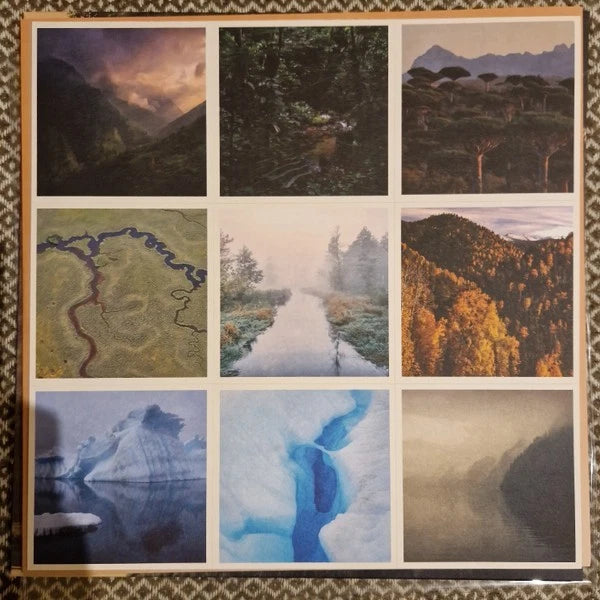 El Búho – Natura Sonora / Vinyl LP on Gold