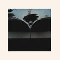 Bruno Spoerri / Reto Weber - Controlled Risk / Vinyl LP presale