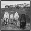 Holy Tongue - Basilikum / Vinyl LP presale