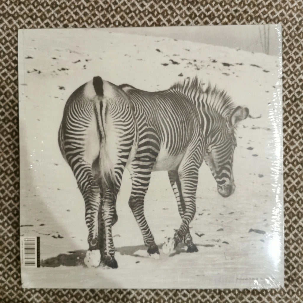ANDY STOTT - It Should Be Us / Vinyl 2LP presale