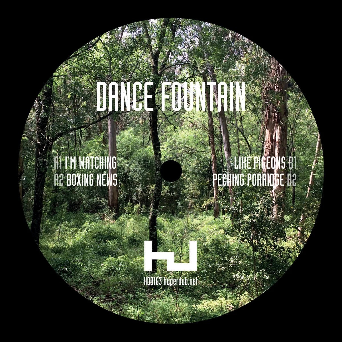Dance Fountain - I'm Watching / Vinyl EP