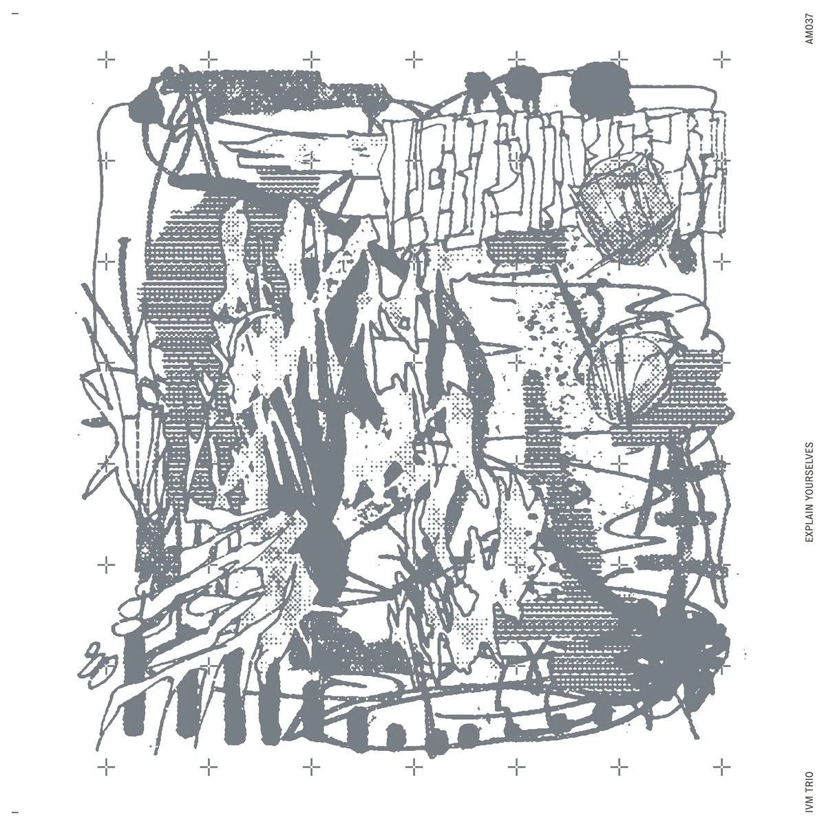 IVM Trio - Explain Yourselves / Vinyl LP