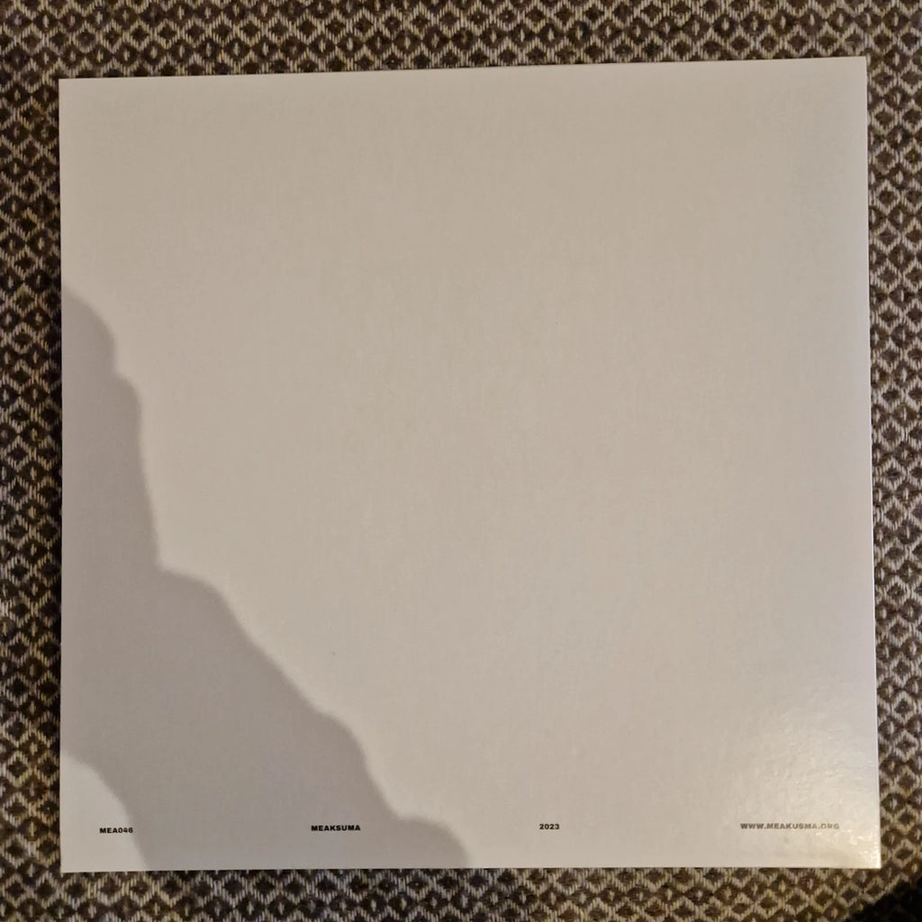 Sam Gendel & Ugnė Uma - Tam tikri objektai erdvėje / Vinyl LP