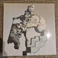 The Caretaker ‎– Everywhere At The End Of Time - Stage 5 / Vinyl 2xLP
