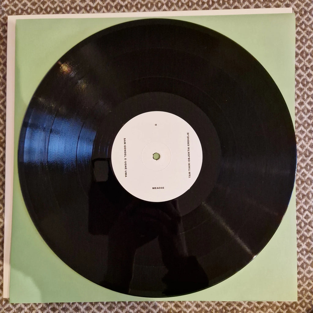 Sam Gendel & Ugnė Uma - Tam tikri objektai erdvėje / Vinyl LP