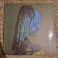 The Caretaker ‎– Everywhere At The End Of Time - Stage 4 / Vinyl 2xLP