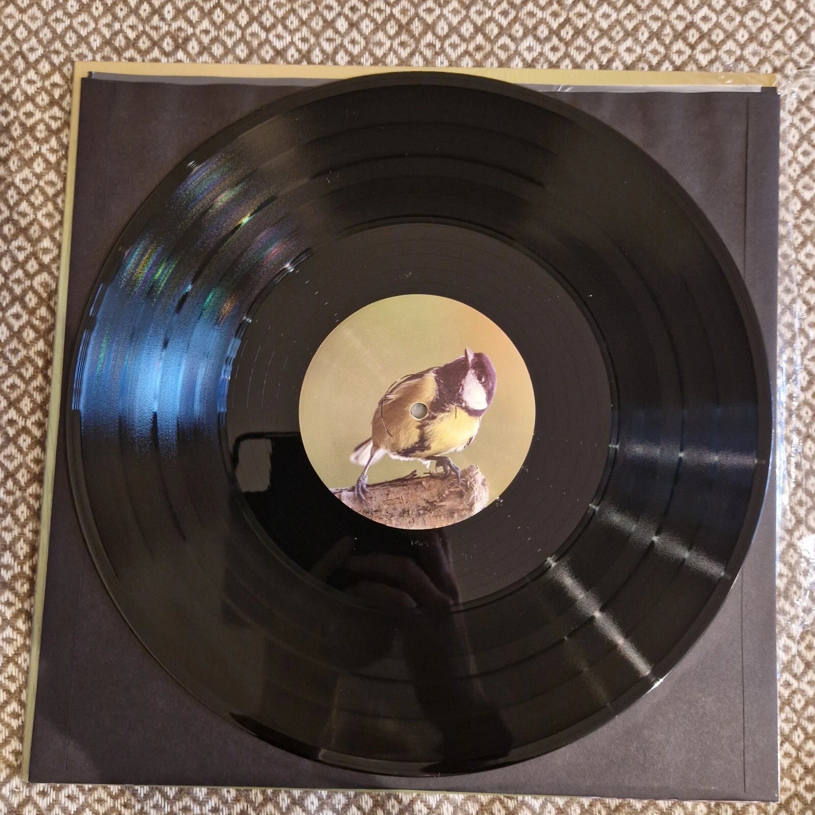 Rafael Toral – Spectral Evolution / Vinyl LP