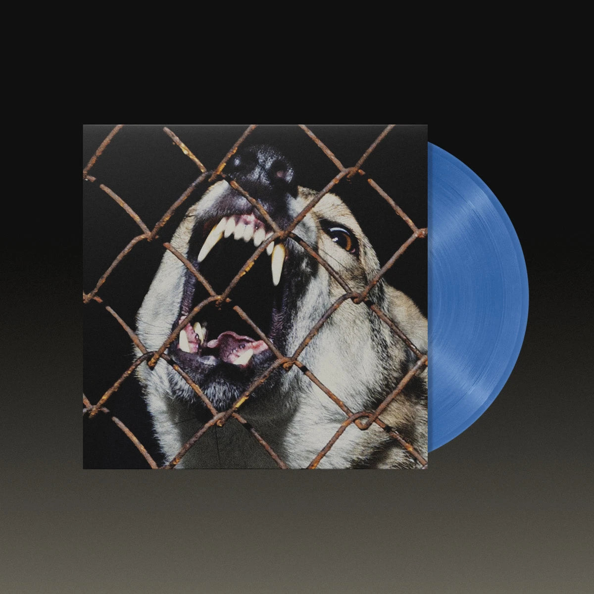 ba. – TURTAS / Vinyl LP limited on Transparent Blue